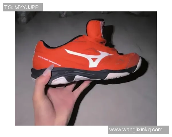 排球装备选购：球鞋推荐