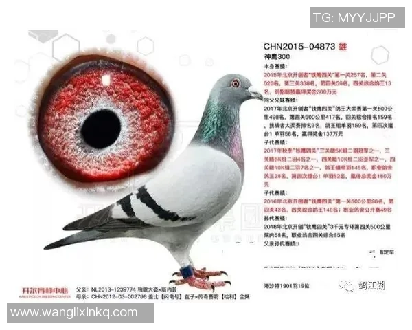 挑战者杯积分榜：V5以57分领跑